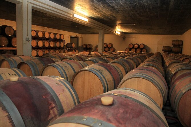Small Group Full-Day Arrábida Wine Tour and Food Tasting - Mercado do Livramento in Setúbal: Your Food Lesson Starts Here