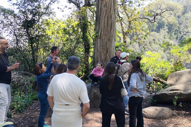 Small Group FULL DAY PRIVATE TOUR Sintra + Cascais+Roca Cape - Quinta da Regaleira: time inside is the difference-maker