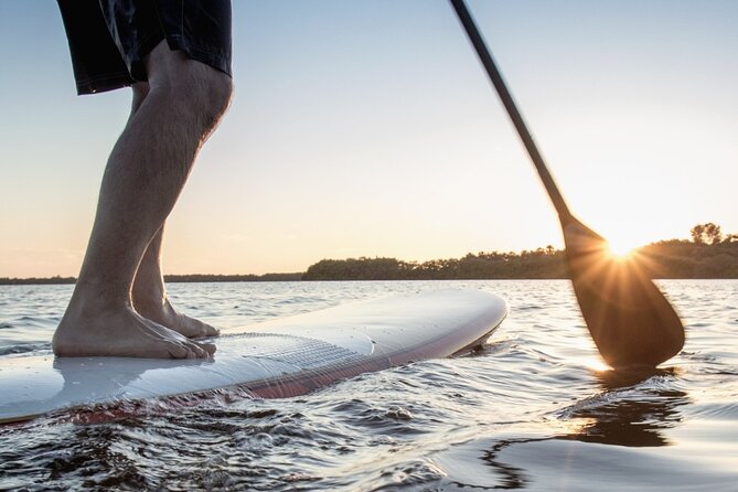 SUP Paddle Board Rentals - Price and value: what you’re really paying for