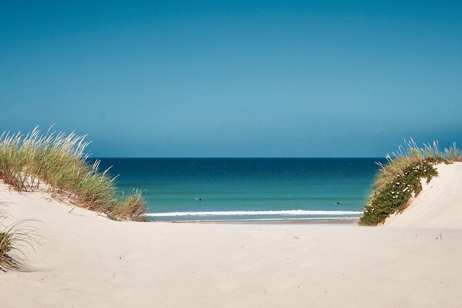 Surf Courses In Peniche and Baleal Portugal - Key Things You Should Know Before You Go