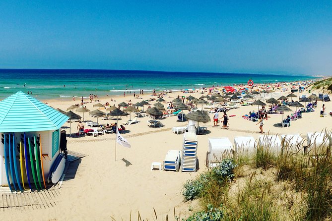 Surf & Friends - Costa da Caparica - The real value: individual tips and fast feedback