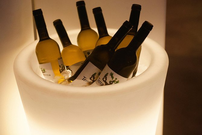 Tastes of Lisbon - Private food Tour - Private Guide Style: Filipa or Ricardo, and How the Tour Feels Different