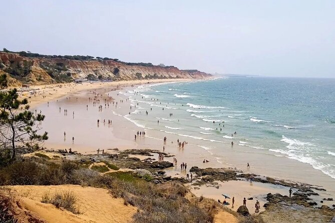 Transport from Lisbon/Algarve, Algarve/Lisbon 1 stop Alentejo - Pickup points and how the meet-up works without confusion