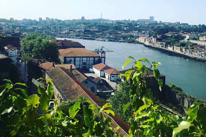 Transport Lisbon/Porto Porto/Lisbon with 2 optional stops - Should You Book Olive Premium Tours for Porto to Lisbon?