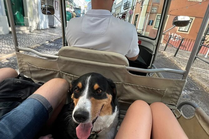 Tuk-Tuk Lisbon Tour 1 - 3hours - São Vicente de Fora: A Stop That Rewards Architectural Attention
