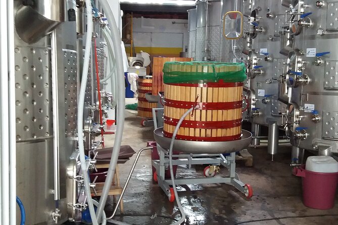 Urban winery tour, premium tasting flight & tapas - The winemaker’s talk: yeast social life, tannins, and oxygen