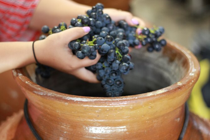 Urban winery tour, premium tasting flight & tapas - White, rosé, red, sparkling, and fortified: how styles differ
