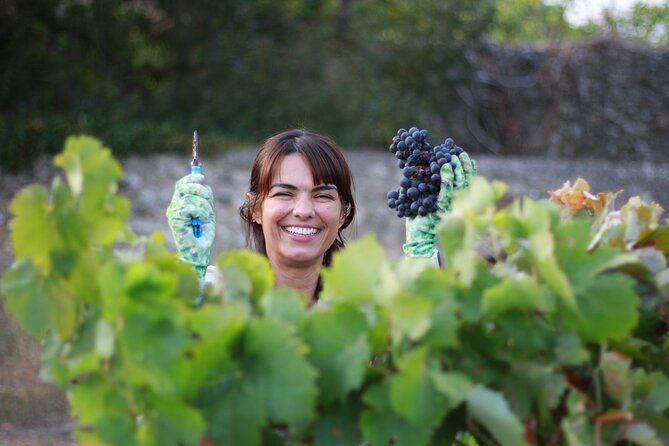 Urban winery tour, premium tasting flight & tapas - What you take home: postcard, pen, and a new lens