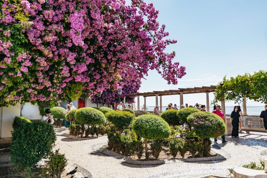 Vadio: Lisbon Old Town Private Tuk Tuk Tour - Price and value: $165 per group for up to 2 (how to judge it)