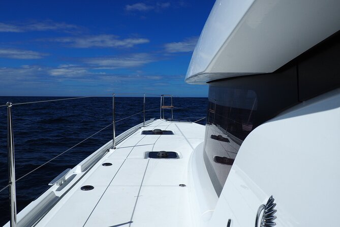 VIP Catamaran Private Tour in Lisbon up to 18 clients - Ancient Art Museum Views: What You See vs. What You Don’t