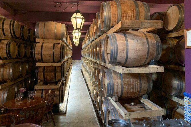 Visit and Wine Tasting with Tasting of Regional Products - Setúbal in Four Hours: What You Actually Get