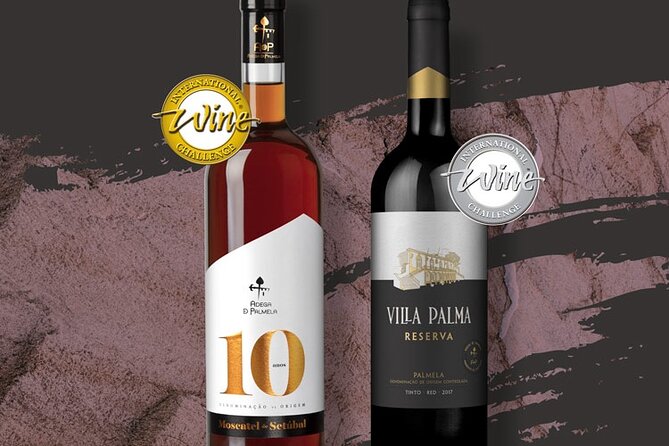 Visit and Wine Tasting with Tasting of Regional Products - Who This Tour Fits Best in Lisbon