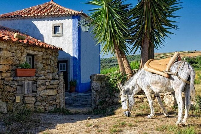 Visit to Queluz Palace and Mafra Convent - Private Tour - Aldeia da Mata Pequena: the short village stop that adds texture