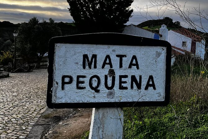 Visit to Queluz Palace and Mafra Convent - Private Tour - Guides and flexibility: José, Bruno, João Lopes, and more