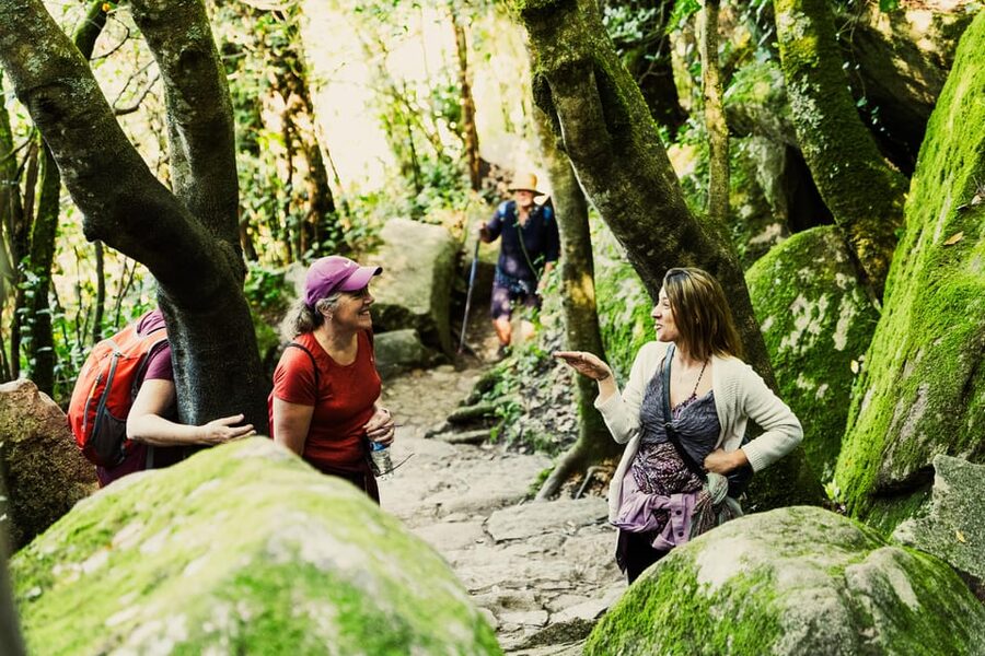 Walking tour:Pena Palace, Moorish Castle,Quinta da Regaleira - Stop 2–4: The hike up toward Moorish Castle (where the day turns active)