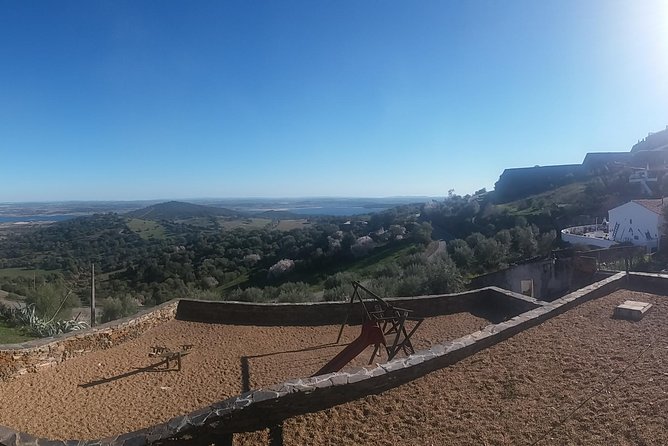 Walled City of Évora’s Highlights & Traditions Tour - Stop 4: Jardim Diana, palace views, and peacocks