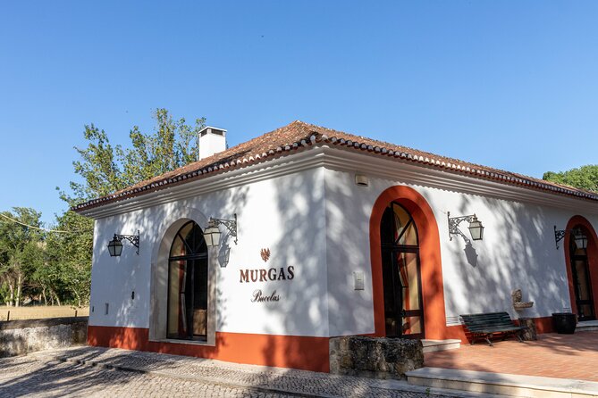 Wine tasting at Quinta das Murgas - Vertical tasting of Murgas DOC Bucelas: three vintages, one lesson