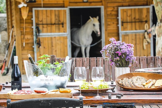 Wine tasting at Quinta das Murgas - The guided estate walk: why it changes how you taste