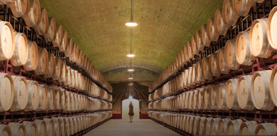 Wine Tasting - Private Half-Day Tour - Vineyard walking and Portuguese nature: what you’ll actually feel