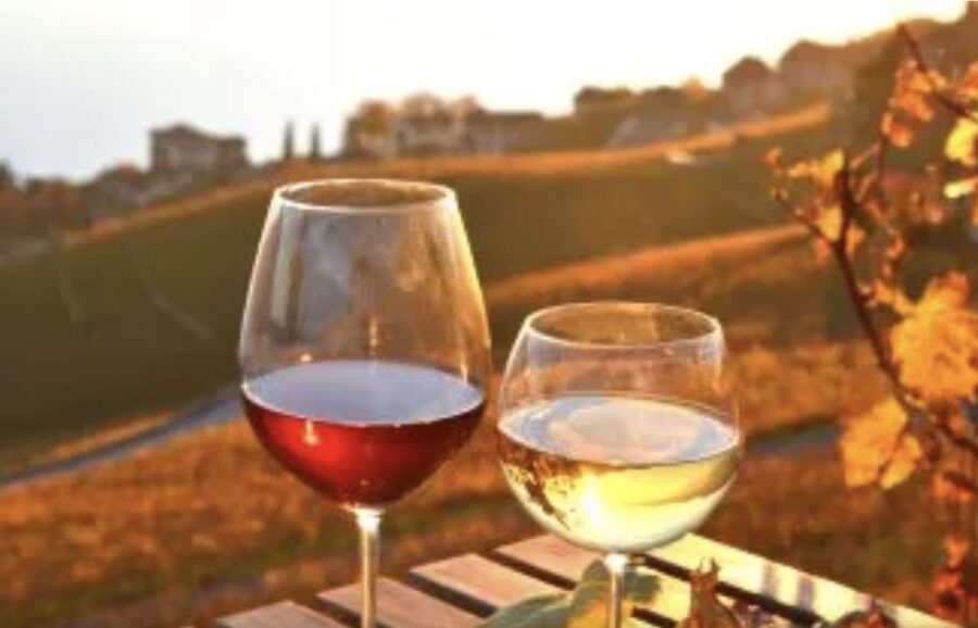 Wine Tasting - Private Half-Day Tour - Wine at José Maria de Fonseca: Tour, Tastings, and Museum-Style Stops