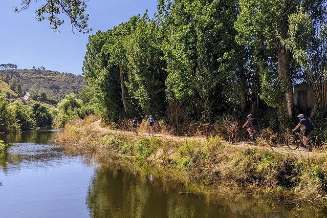 Wine Tasting Tour - The ride route: easy trails, river valley off-road, car-free near the winery
